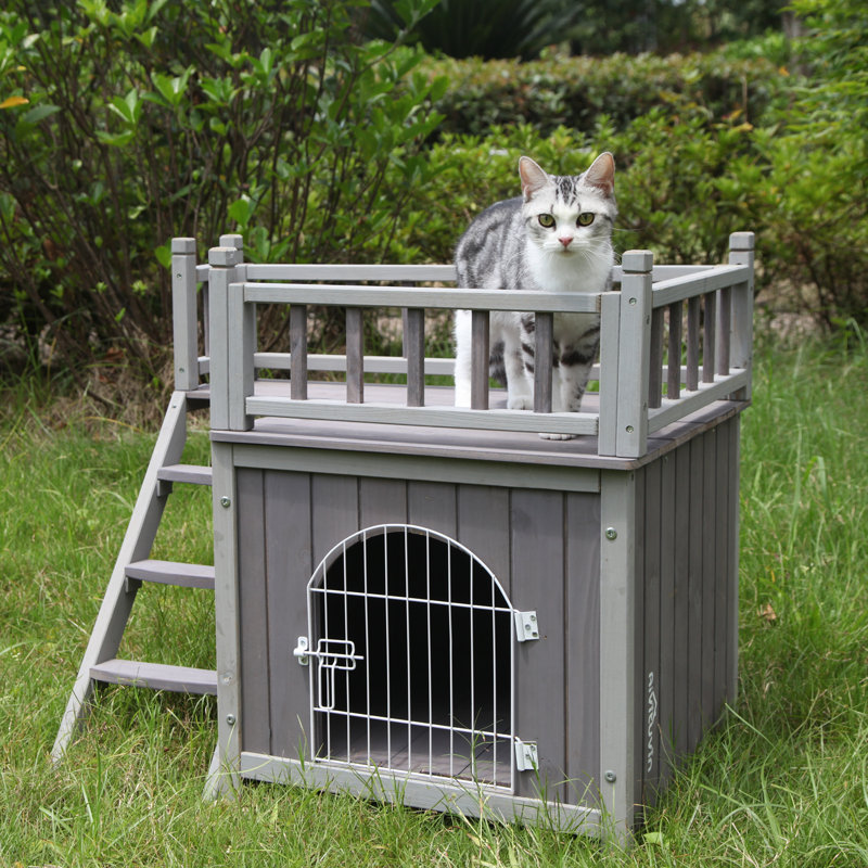 Aivituvin Wooden Cat House Wayfair